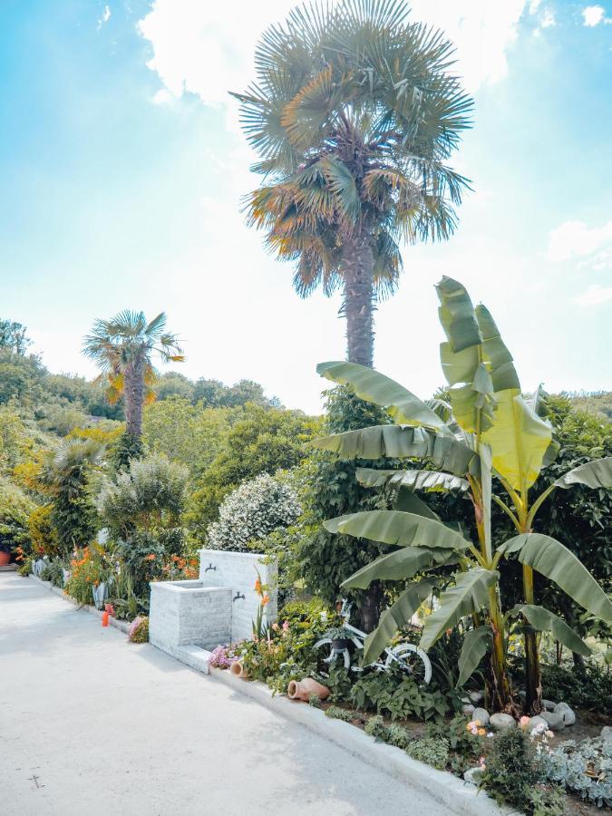 Apartments Gjenashaj أولتْسي المظهر الخارجي الصورة